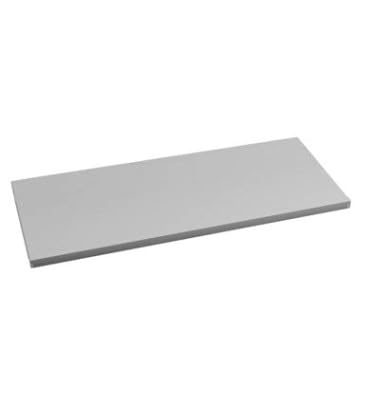 2 er Set - 2 Stück Regalboden Einlegeboden LICHTGRAU 567 x 290 mm (L 56,7 cm x B 29,0 cm) Fachboden