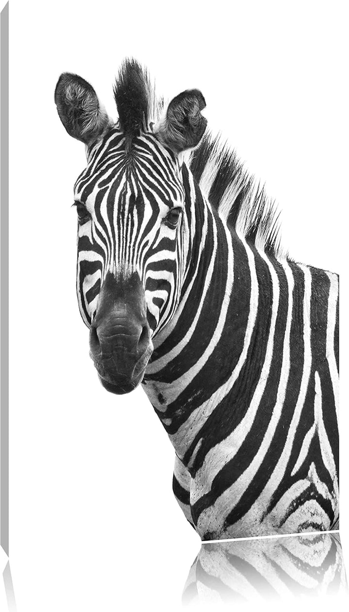Pixxprint Zebra im Portrait auf Leinwand, XXL riesige Bilder fertig gerahmt mit Keilrahmen, Kunstdru