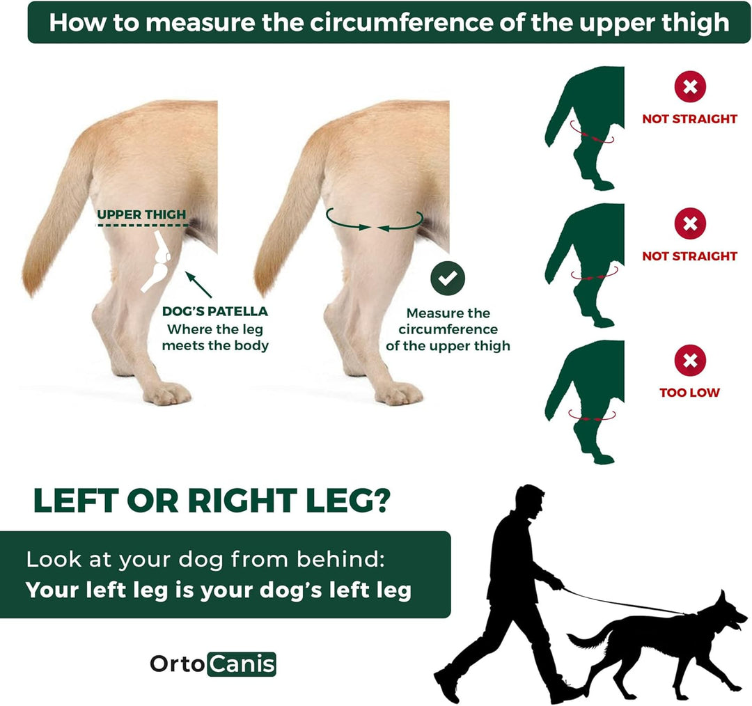 Ortocanis - Kniebandage für Hunde mit Kreuzbandverletzungen, Patellaluxation oder Arthrose, Grösse X