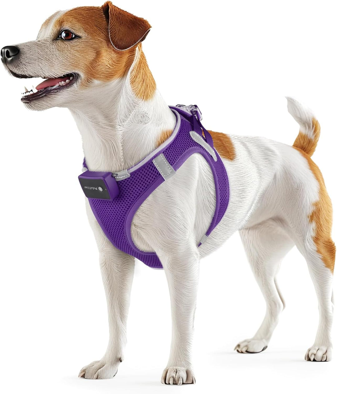 PcEoTllar Hundegeschirr Leuchtend USB Aufladbar Reflektierendes Leuchtgeschirr LED Leucht Brustgesch