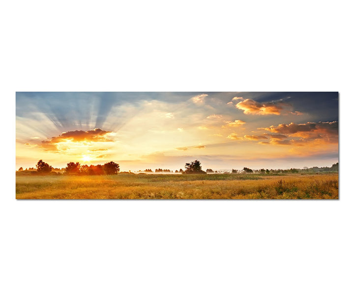 Paul Sinus Art Panoramabild auf Leinwand und Keilrahmen 150x50cm Wiese Landschaft Wolkenhimmel Sonne