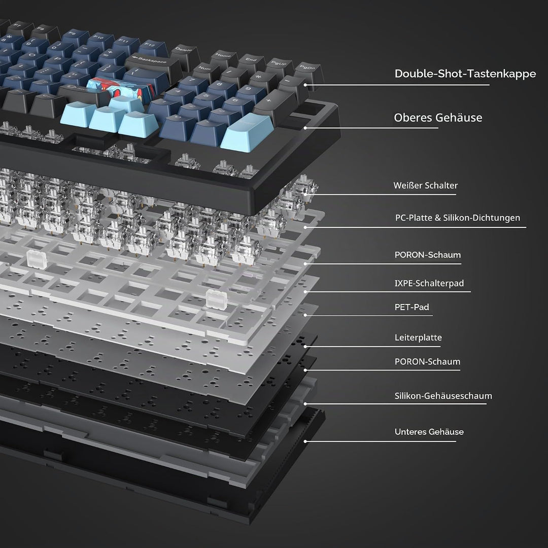 SOLIDEE 95% mechanische Gaming-Tastatur,hot-swap-fähige Tastatur mit weisse Schalter,Gasket RGB-Hint