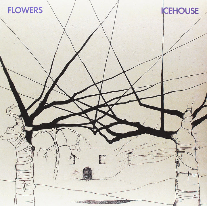 Icehouse, Vinyl