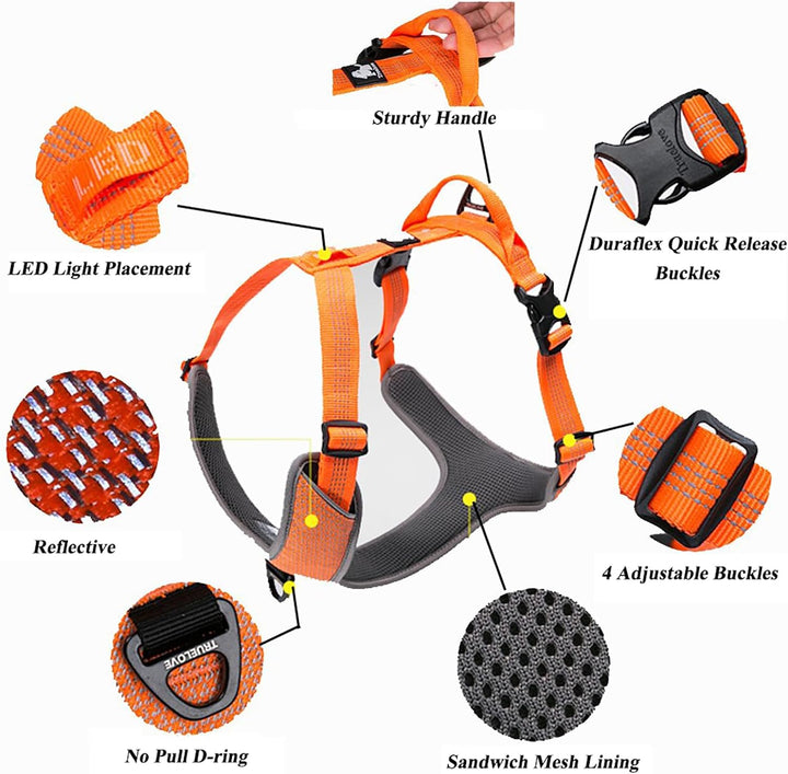 TRUE LOVE Hundegeschirr Outdoor Adventure II Reflektierende Weste mit 2 Leinenbefestigungen passende