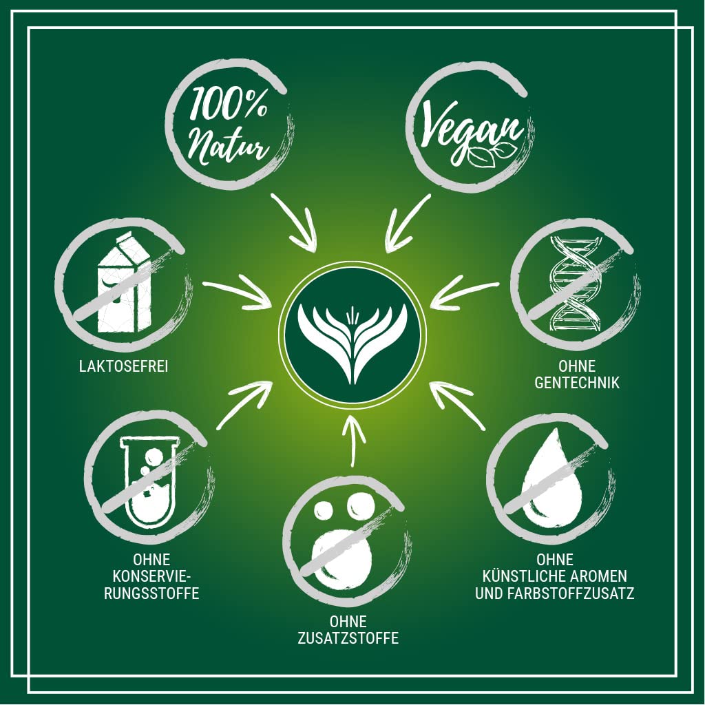 Azafran Harissa Gewürzzubereitung - Premiumqualität 1kg 1 kg (1er Pack), 1 kg (1er Pack)