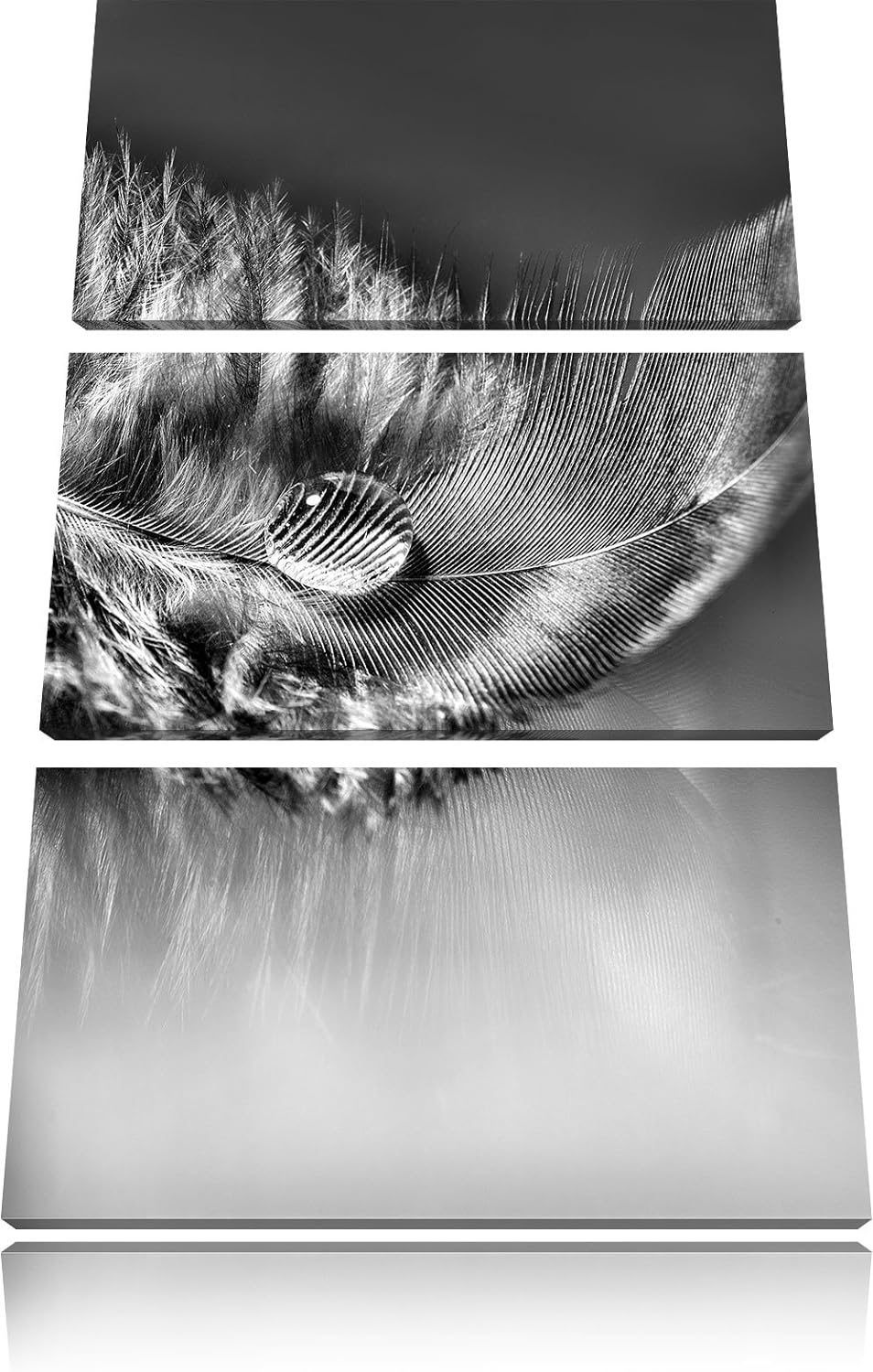 Pixxprint Wassertropfen auf Feder als Leinwandbild | Grösse: 3 Teilig (120x80) | Wandbild| Kunstdruc