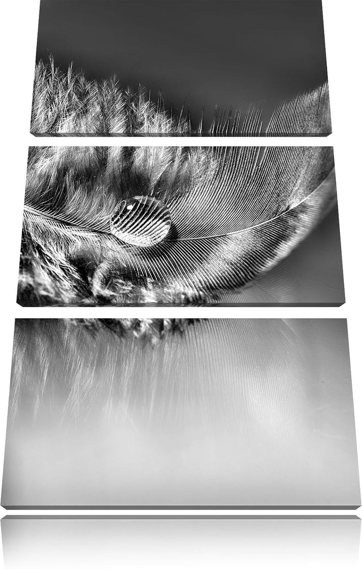 Pixxprint Wassertropfen auf Feder als Leinwandbild | Grösse: 3 Teilig (120x80) | Wandbild| Kunstdruc