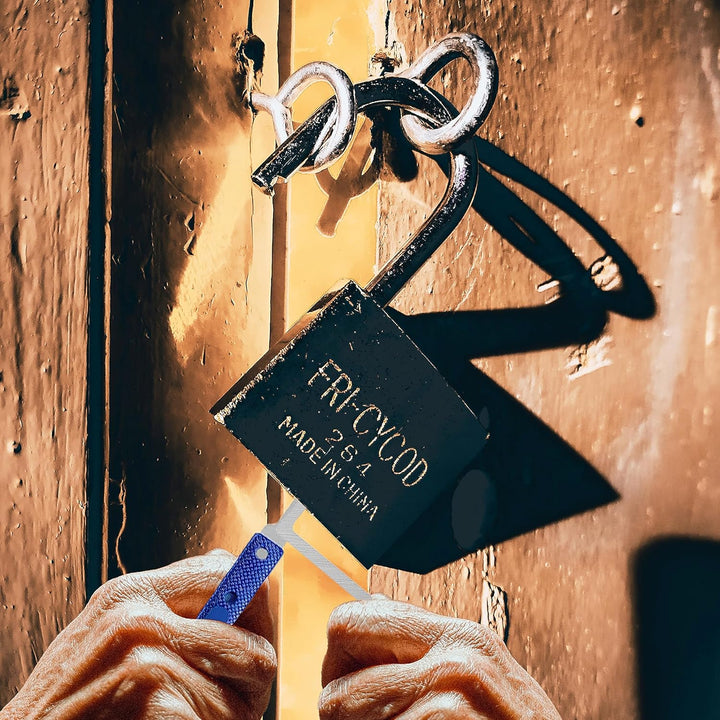 Retoo Lockpicking Set 17 Stück Dietrich, 12 Picks und 5 Drehmomentschlüssel, perfektes Lock Pick Set