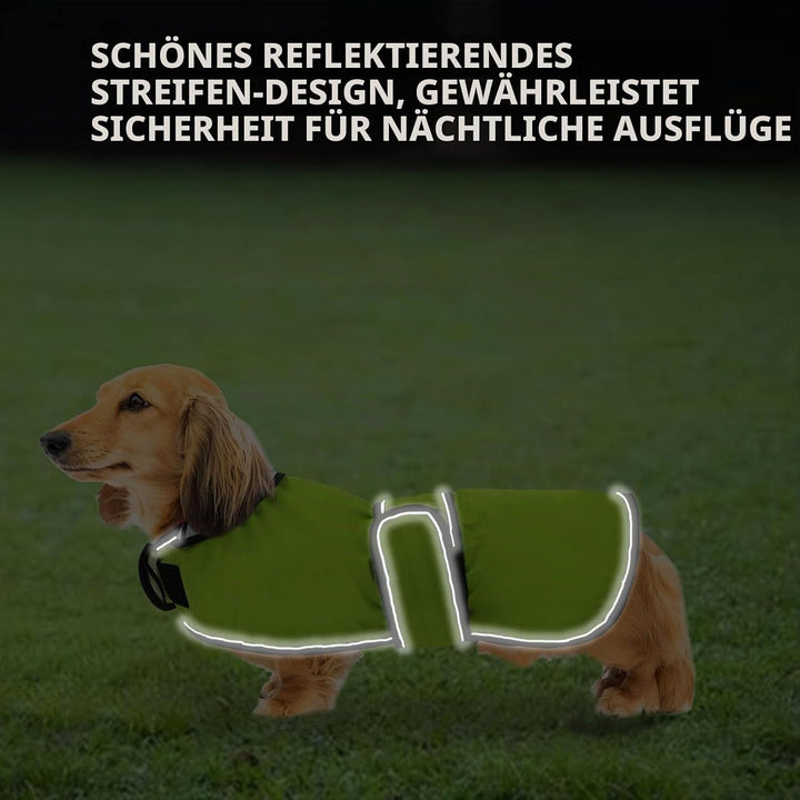 Geyecete Hunde Regenmantel,Einstellbar Wasserdicht Hundejacke für Dackel,Regenmantel mit reflektiere