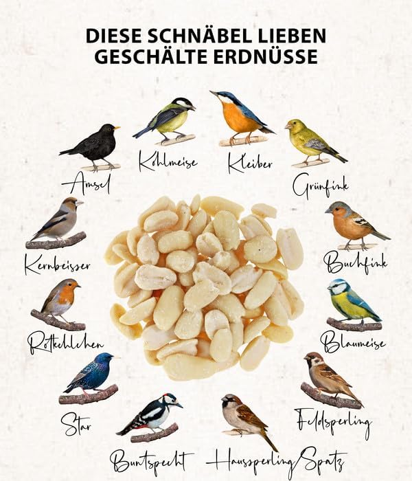 Dehner Natura Wildvogelfutter, halbe/ganze Erdnüsse, 20 kg halbe/ganze Erdnüsse 20 kg (1er Pack), ha