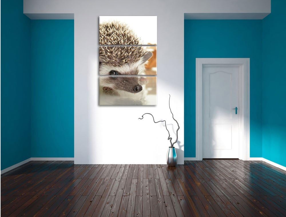 Pixxprint Süsser Igel 3-Teiler Leinwandbild 120x80 Bild auf Leinwand,