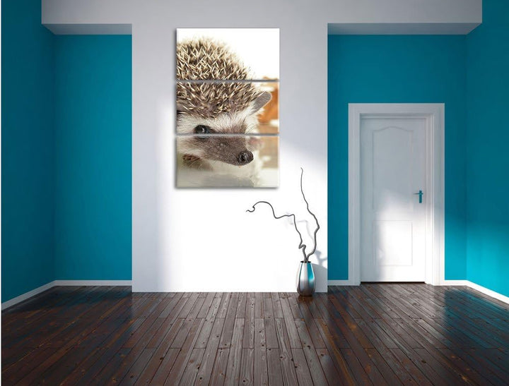Pixxprint Süsser Igel 3-Teiler Leinwandbild 120x80 Bild auf Leinwand,