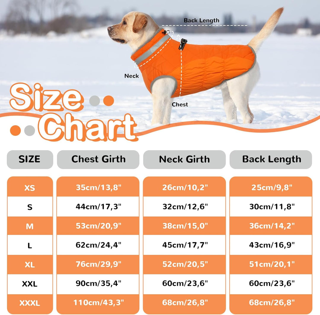 Hjumarayan Hundemantel für Kleine Hunde - Hundemantel Winter Hundemantel mit Geschirr Wintermantel H