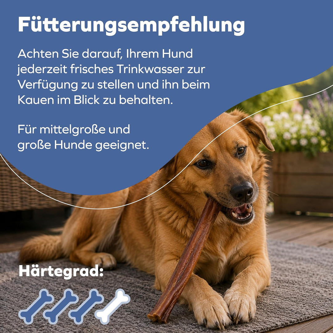 Ochsenziemer für Hunde – 30cm grosse Kauartikel - 2 Stck. für langanhaltenden Kauspass 150 g (1er Pa