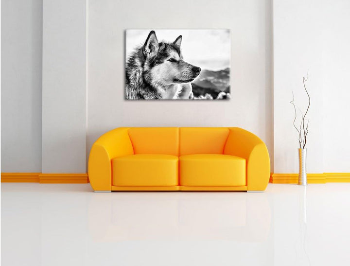 Pixxprint Süsser Husky im Schnee als Leinwandbild/Grösse: 100x70 cm/Wandbild/Kunstdruck/fertig bespa