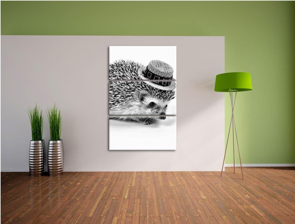 Pixxprint Lustiger Igel mit Hut als Leinwandbild/Grösse: 3 Teilig (120x80) cm/Wandbild/Kunstdruck/fe