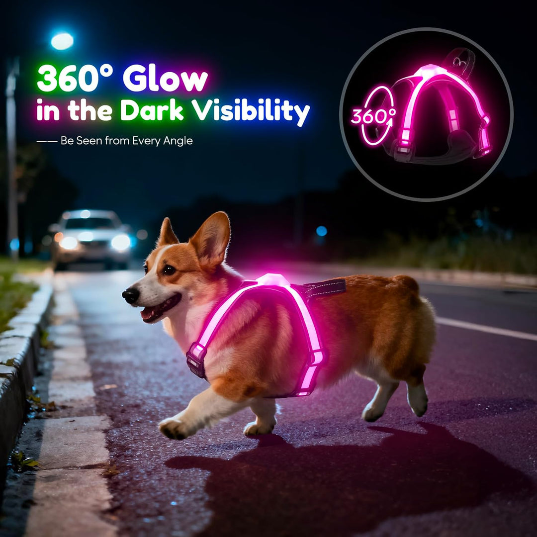 LED Hundegeschirr Leuchtend, Multicolor Reflektierendes Leuchthundegeschirr für Nacht, USB-C Wiedera