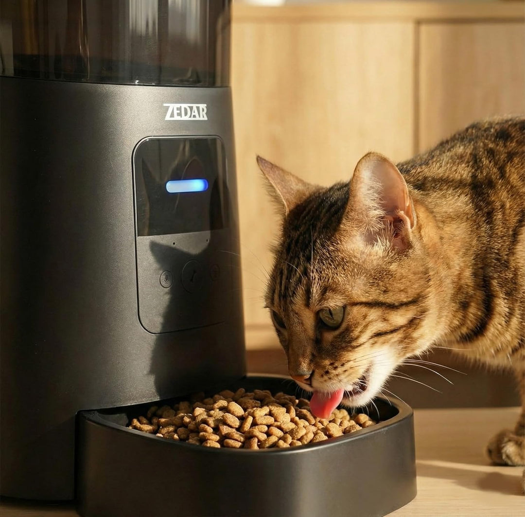 Futterautomat Katze - Edelstahl napf - 6 Liter - mit APP Steuerung - Automatischer Futterspender für