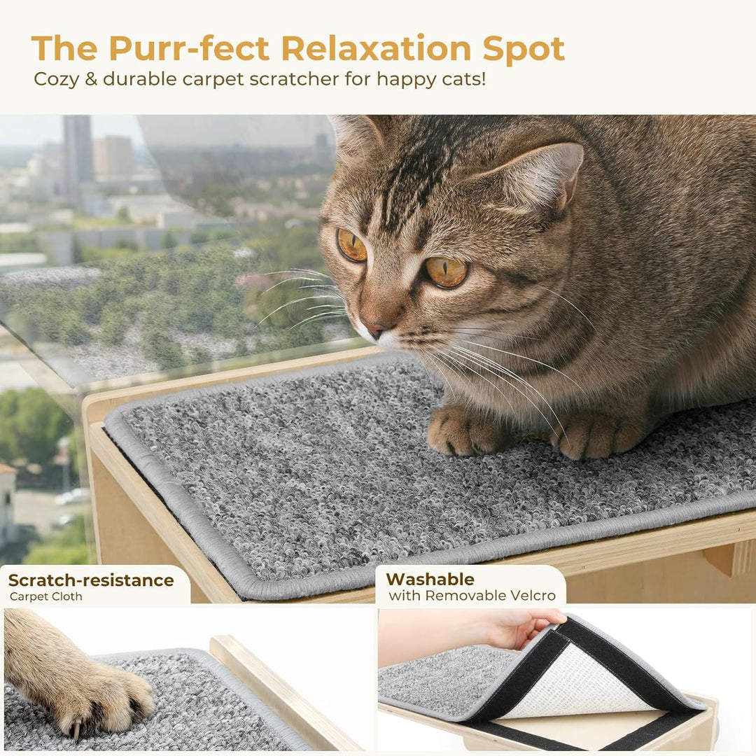 pecute Kletterwand Katzen, 2-in-1 für Wand & Glas, Katzenkletterwand mit Waschbar Abnehmbar Filzunte