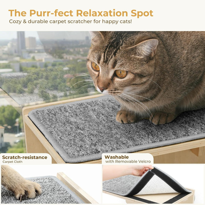 pecute Kletterwand Katzen, 2-in-1 für Wand & Glas, Katzenkletterwand mit Waschbar Abnehmbar Filzunte