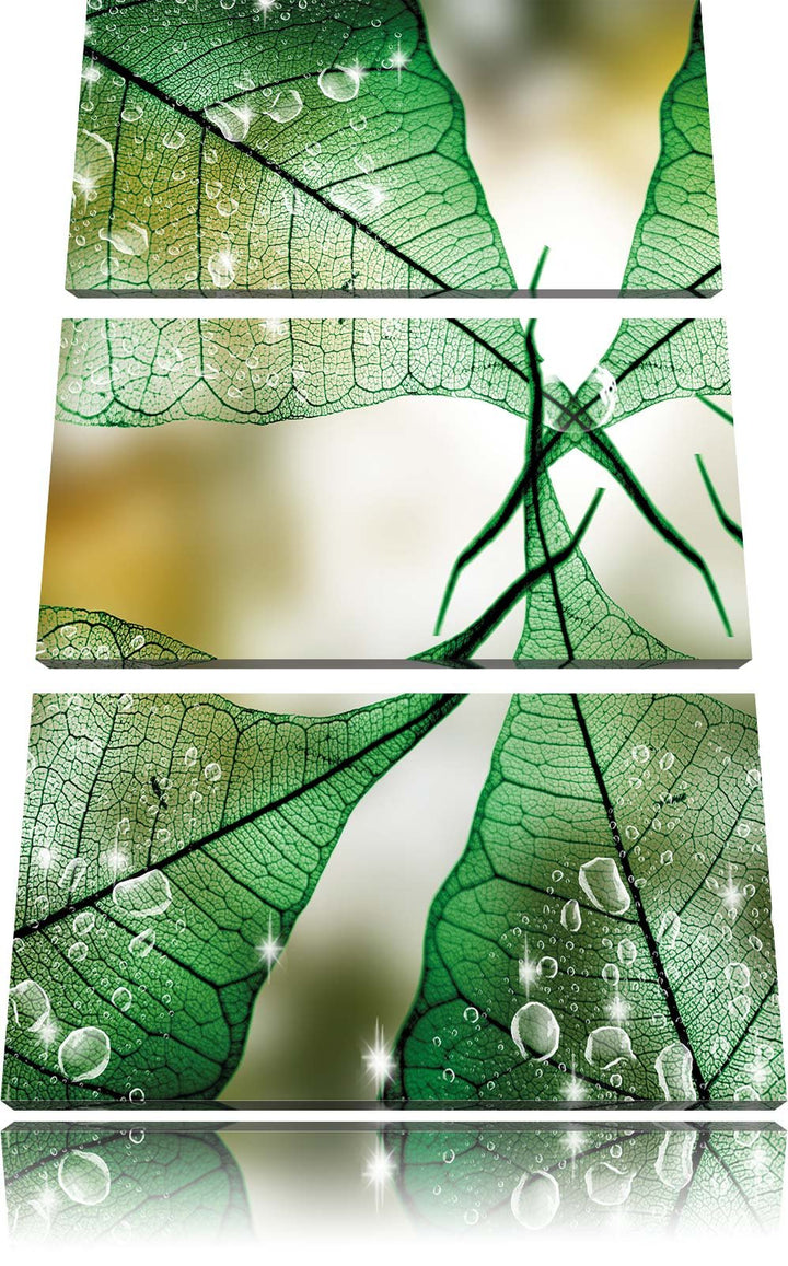 Pixxprint Grüne Blätter / 3-Teilig/Gesamtmass 120cm Leinwandbild bespannt auf Holzrahmen/Wandbild Ku