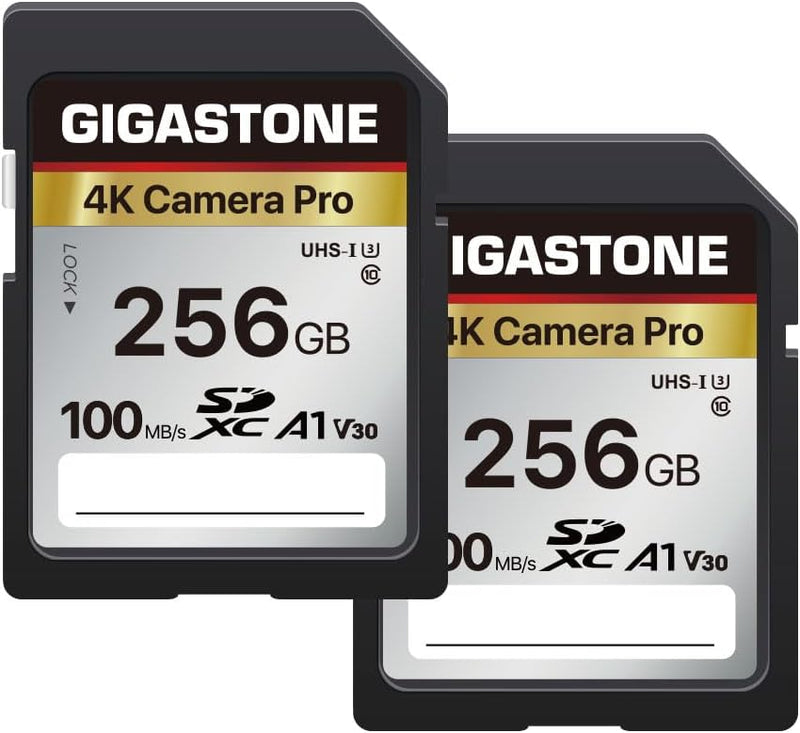 Gigastone 4K Kamera Pro 256GB SDXC Speicherkarte 2er-Pack mit bis zu 100 MB/Sek. für Digitalkameras