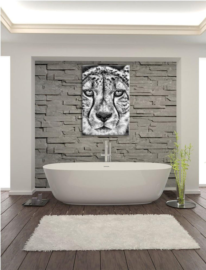 Pixxprint ruhender Gepard als Leinwandbild/Grösse: 100x70 cm/Wandbild/Kunstdruck/fertig bespannt, 10