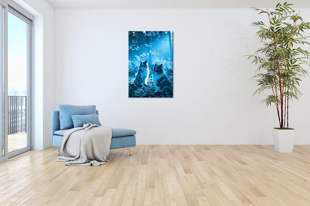 deyoli zwei treue Collies im Wald Format 80x60 Effekt: Monocrome Blau als Leinwandbild, Motiv fertig