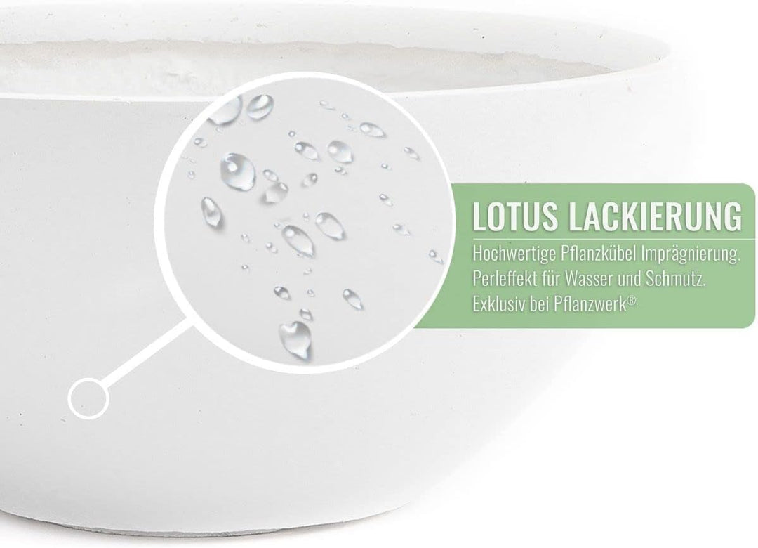 Pflanzwerk® Pflanzkübel Pflanzschale Bowl Ø 36cm Weiss *Frostbeständige Blumenschale* *Deutsche Prem