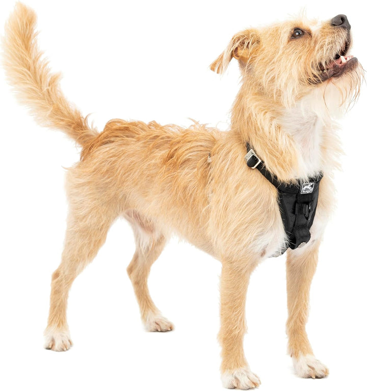 Kurgo Tru-Fit Hundegeschirr, Crash-Test-erprobtes Auto-Sicherheitsgurt, Für Hunde von 2 bis 5 kg, Gr