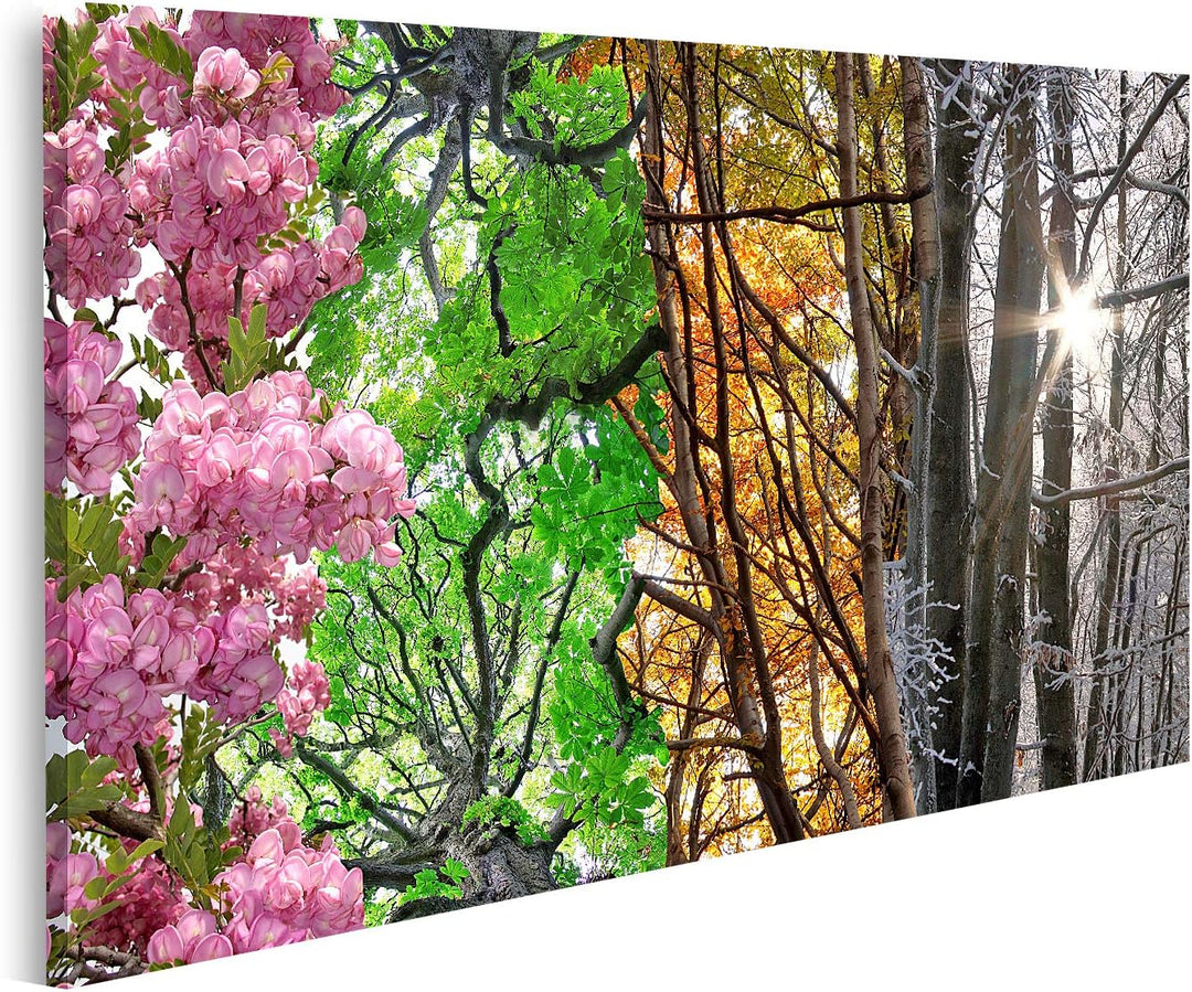 islandburner Bild auf Leinwand Vier Jahreszeiten Bilder Wandbilder Poster Leinwand 100x57cm, Leinwan