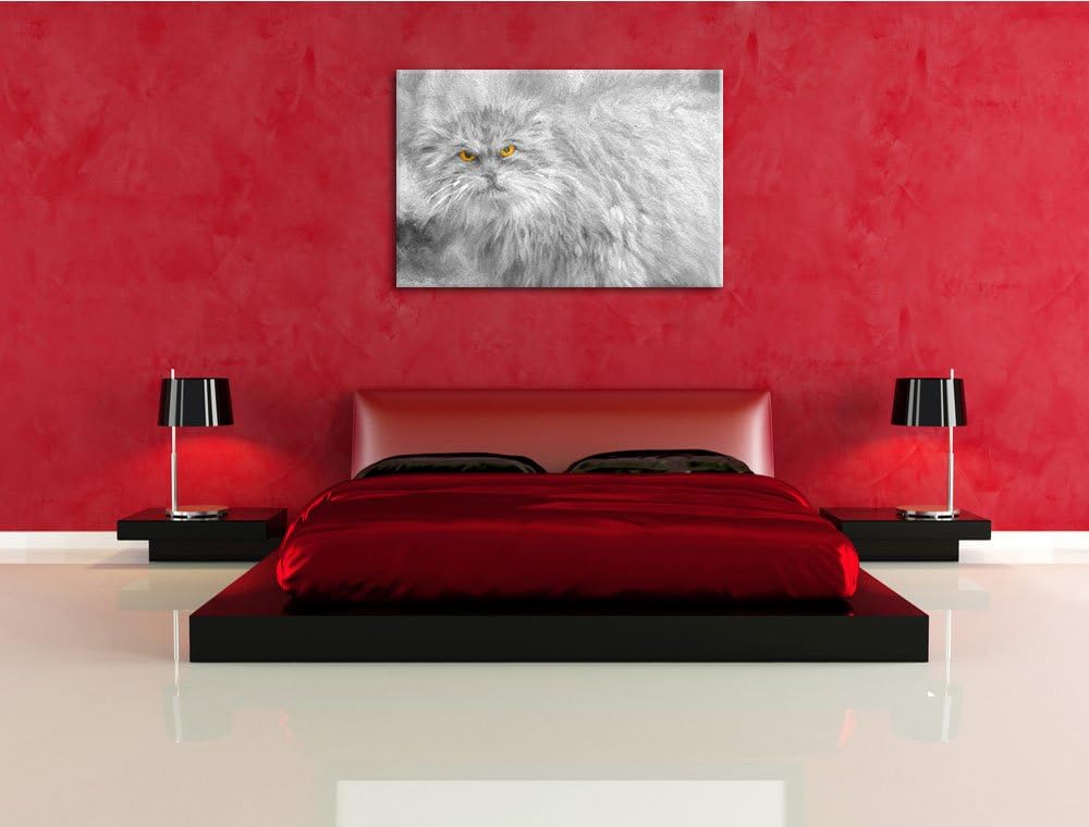 wütende kleine Manul schwarz/weiss Deluxe Format: 100x70 cm auf Leinwand, XXL riesige Bilder fertig