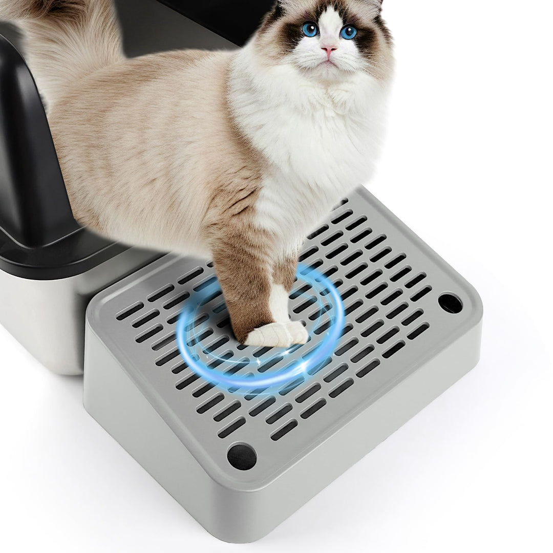 Katze Rampe, Katzentreppe, erhöhte Treppen & Stufen für Katze, Wurf Filter Pedal für Kätzchen alte K