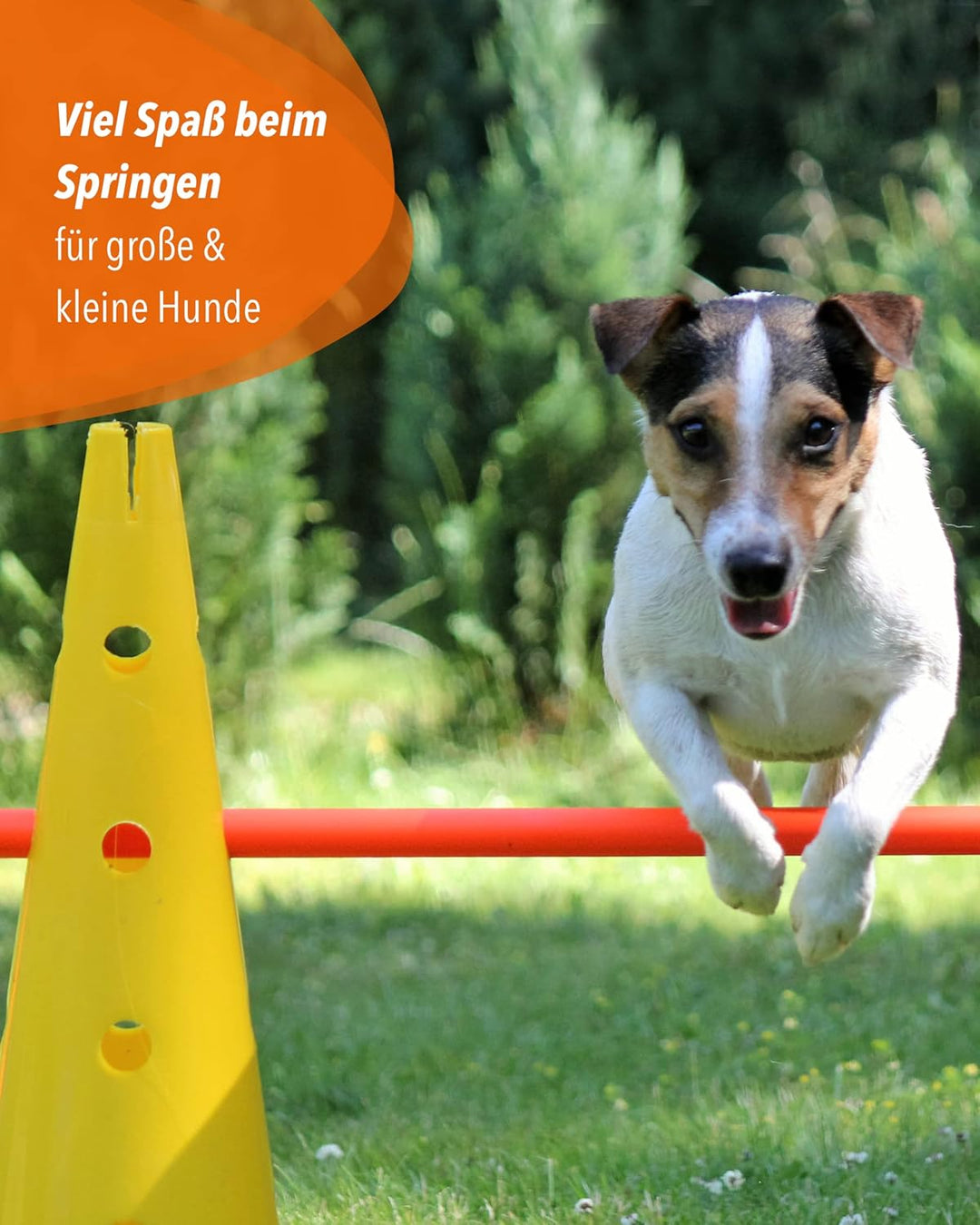 Kombi Kegel 40 – 4 im Set – für den Aufbau von Hürden- oder Slalom-Parcours für Agility-Training – S