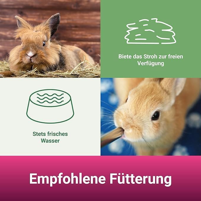 PANTO Stroh 2 kg – goldgelbes entstaubtes Stroh fü̈r Kaninchen und Nager, ideal als Einstreu, zum Ne