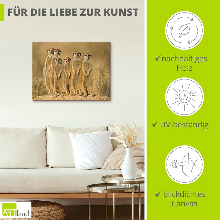 ARTland Leinwandbilder Wandbild Bild auf Leinwand 80x60 cm Erdmännchen Familie T5MH Erdmännchen Fami