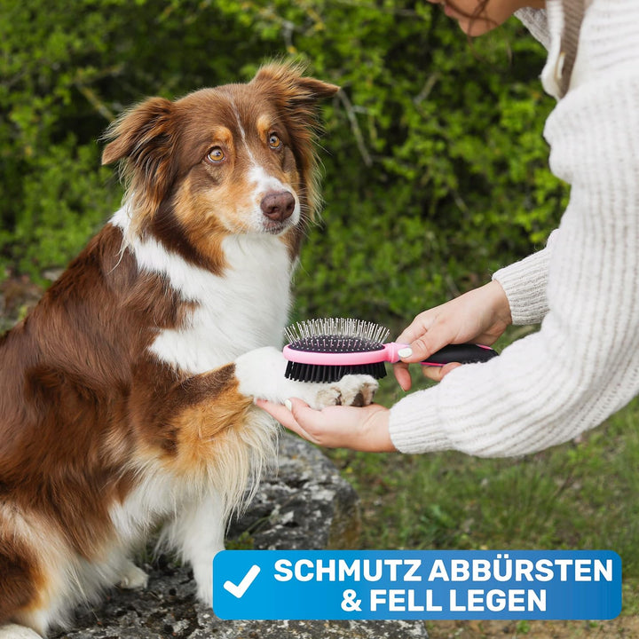 BluePet 2in1 Hundebürste für Langhaar & Kurzhaar Auch für Welpen & Katzen I Glätten, Entwirren, Ausb
