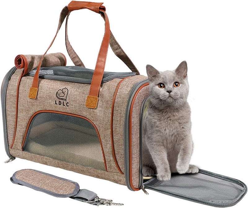 PETCUTE Transporttasche Katze Faltbare,Atmungsaktiv, Katzentransportbox mit Abnehmbares Kissen,Hunde