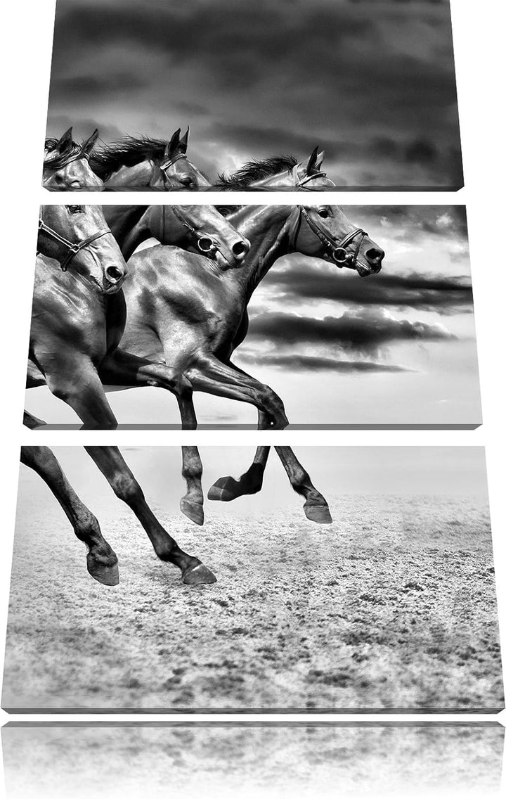 Pixxprint DREI Wilde Westernpferde als Leinwandbild/Grösse: 3 Teilig (120x80) cm/Wandbild/Kunstdruck