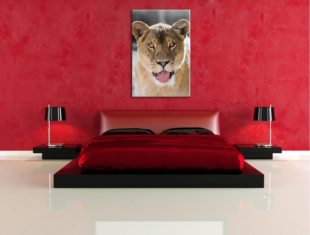 Pixxprint schöne Löwin schwarz/weiss auf Leinwand, XXL riesige Bilder fertig gerahmt mit Keilrahmen,