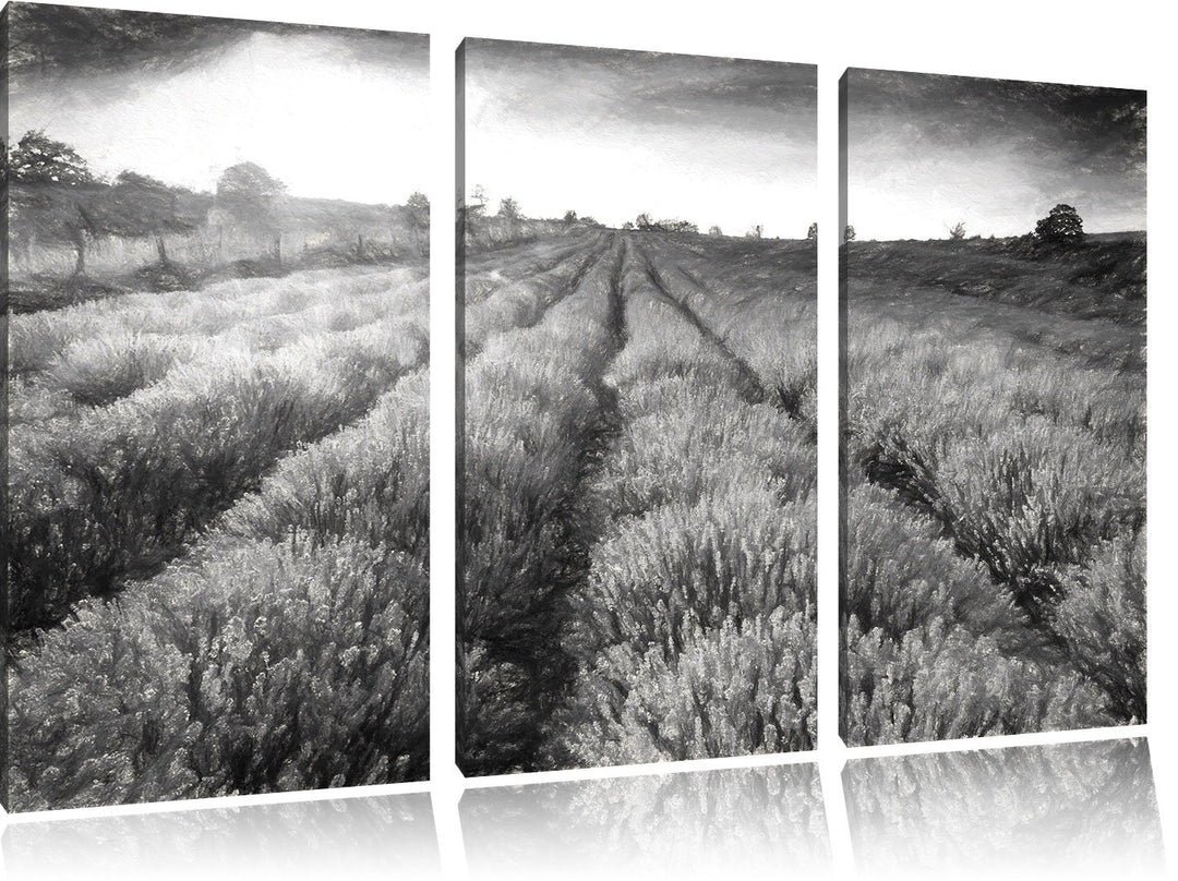 Pixxprint Lavendelfeld in Frankreich / 3-Teilig/Gesamtmass 120cm Leinwandbild bespannt auf Holzrahme
