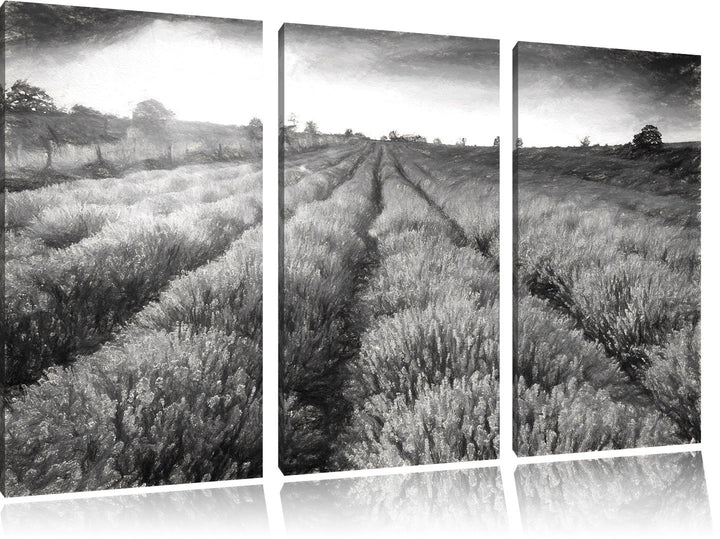 Pixxprint Lavendelfeld in Frankreich / 3-Teilig/Gesamtmass 120cm Leinwandbild bespannt auf Holzrahme