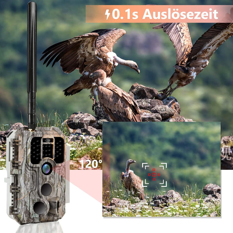 BlazeVideo 4G LTE 120° Mobilfunk Wildkamera 32MP 1296P H.265 Handyübertragung mit SIM Bewegun