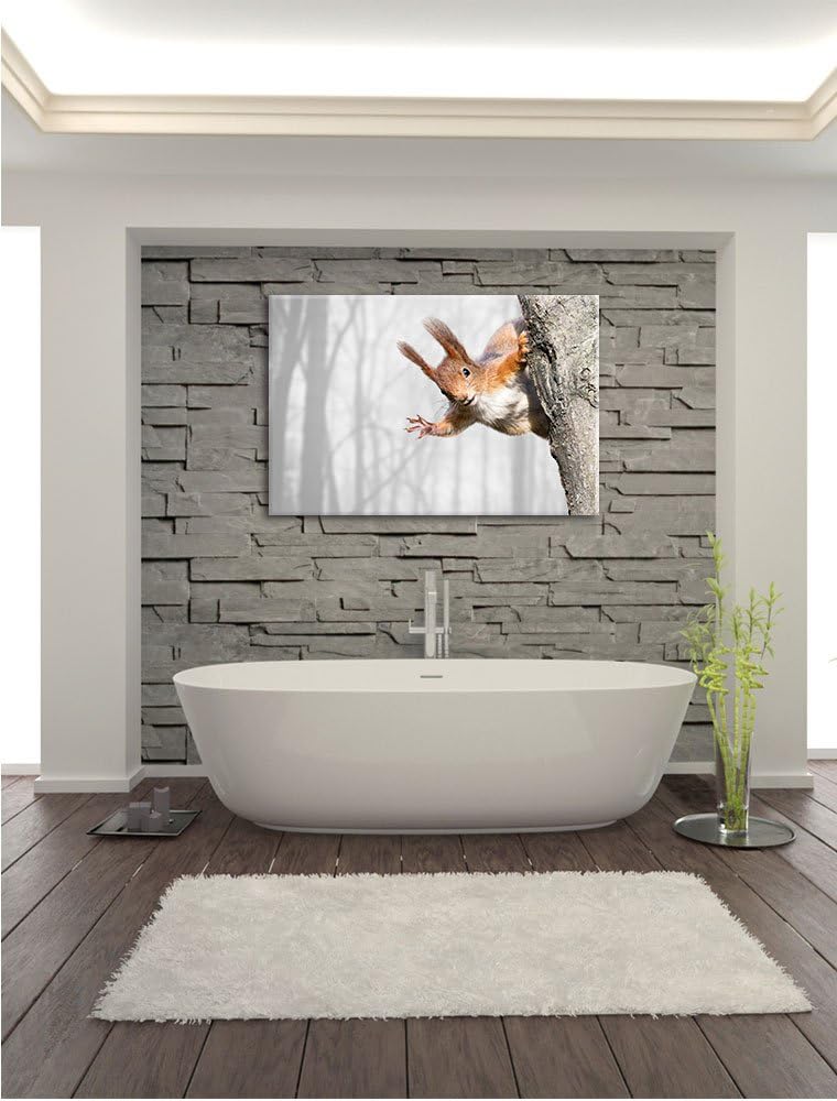 Pixxprint Neugierig rotes Eichhörnchen / 100x70cm Leinwandbild bespannt auf Holzrahmen/Wandbild Kuns