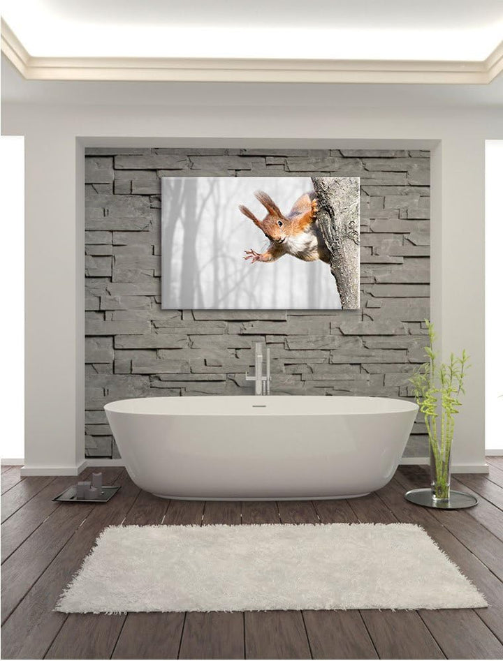 Pixxprint Neugierig rotes Eichhörnchen / 100x70cm Leinwandbild bespannt auf Holzrahmen/Wandbild Kuns