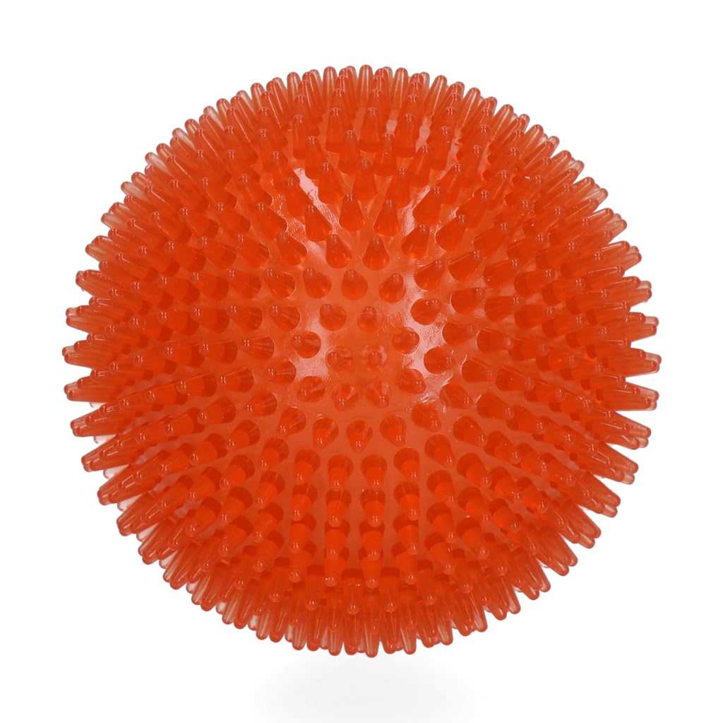 Exoplanet - 10.5 cm - Hundespielzeug - Hundeball - Apportierspielzeug - Igelball - Wasser und Land -