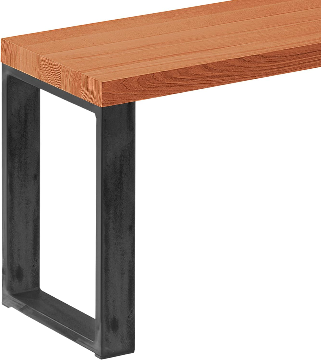LAMO Manufaktur Sitzbank Esszimmer Holzbank 30x100x47 cm, Möbelfüsse Simple Rohstahl mit Klarlack/Du