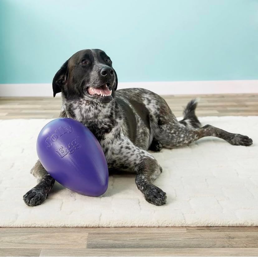 Jolly Pets Jolly Ei Hartplastik -Kugel für Pets Spass-Hunde Chewers Spielzeug Rot 20cm