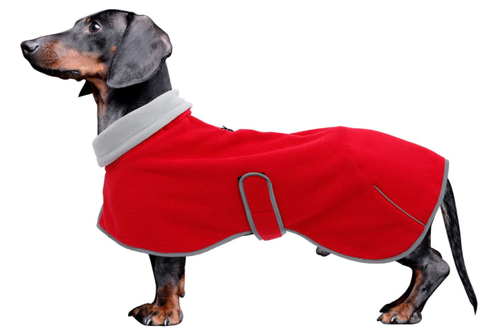 MOREZI Dackeljacke, Kaschmirfutter, Welpenwinterjacke mit Reflexbesatz und hohem Kragen, Hundeschnee