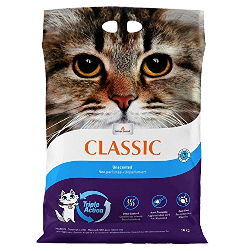 Intersand Doppelpack Classic Katzenstreu, geruchslos 2x15kg